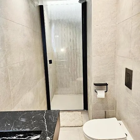 53 Berriat - T2 Avec Balcon, Moderne Et Bien Renove, Wifi Fibre Grenoble